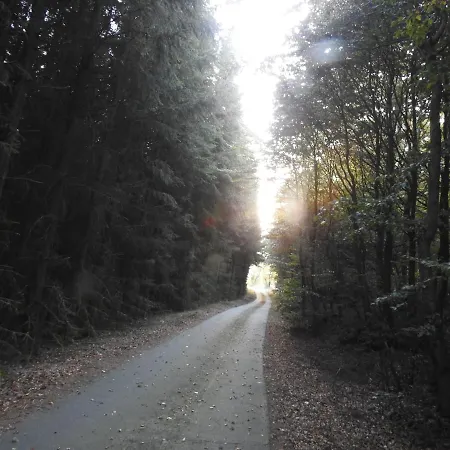 Rusti Deifeld 公寓 梅德巴赫