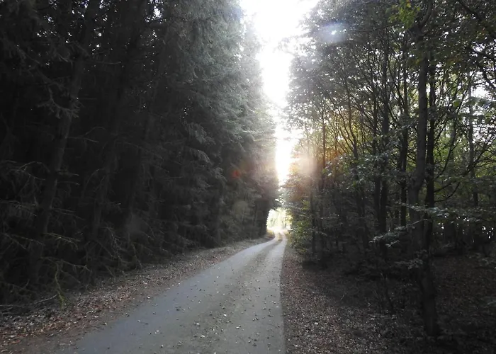 Rusti Deifeld Apartamento Medebach